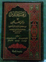 نزهة المتقين في شرح رياض الصالحين - الجزء الثاني